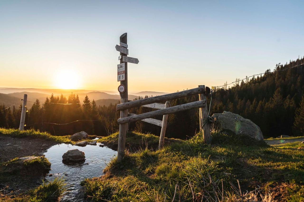 Waldhotel Fehrenbach Hinterzarten Bagian luar foto