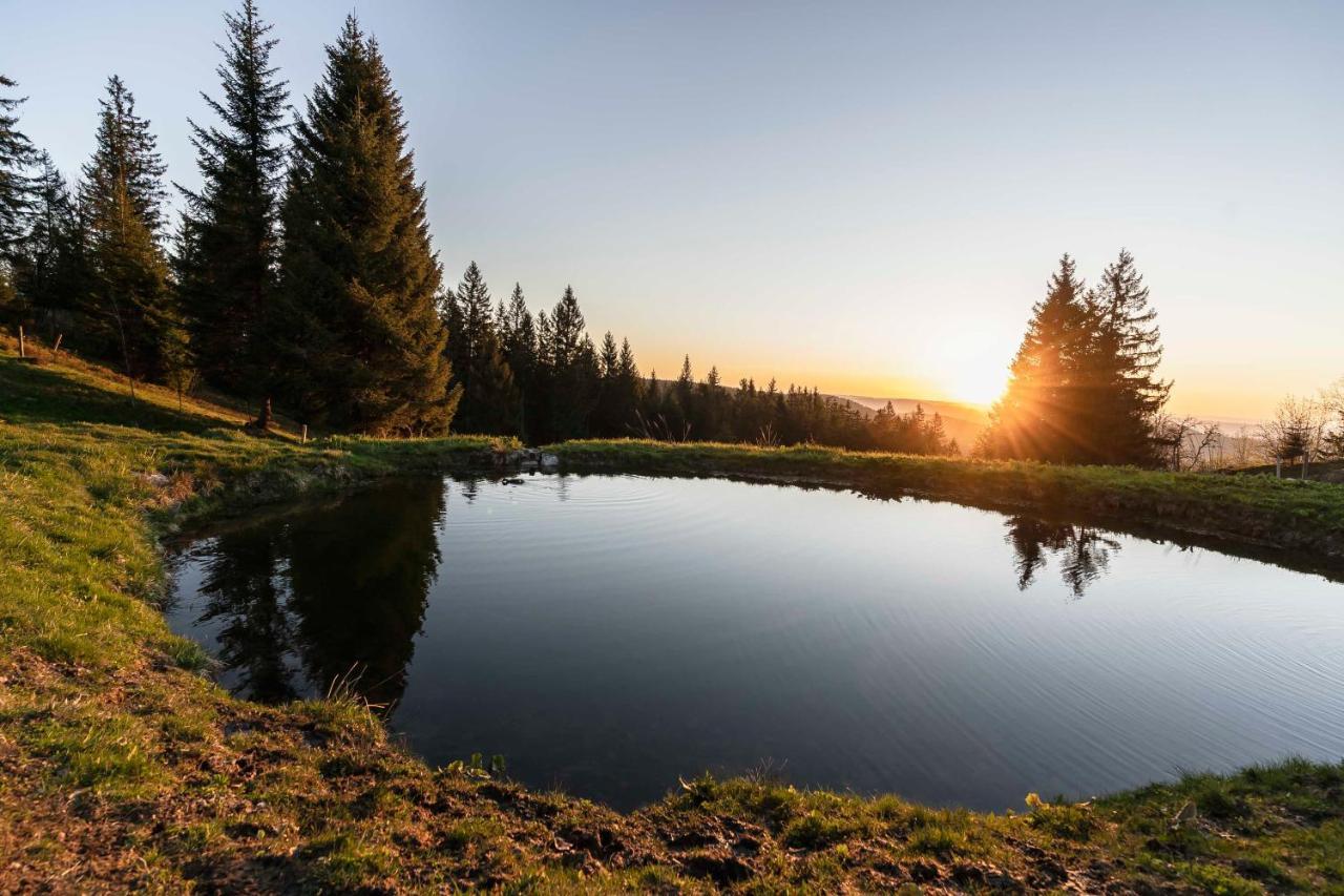 Waldhotel Fehrenbach Hinterzarten Bagian luar foto